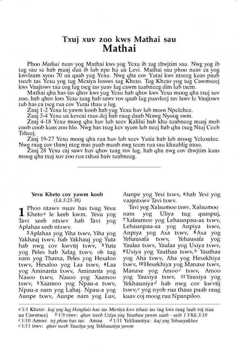 Blue Hmong New Testament - Print on Demand - Image 2