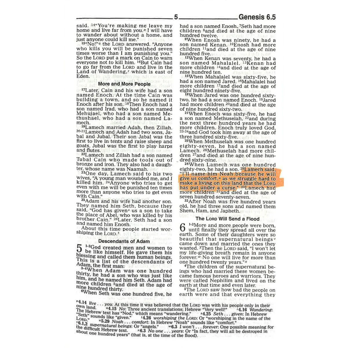 CEV Poverty & Justice Bible - Image 3