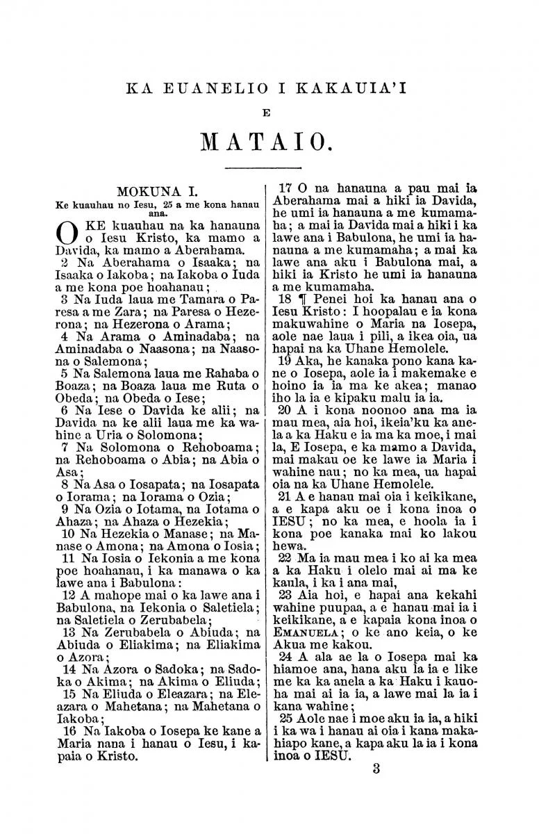 Hawaiian New Testament - Print on Demand - Image 2