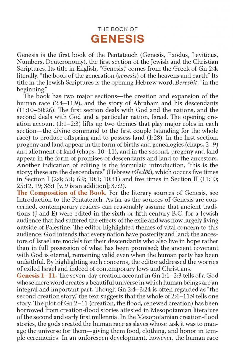 NAB New American Bible Revised Edition Catholic Bible Paperback - Image 2