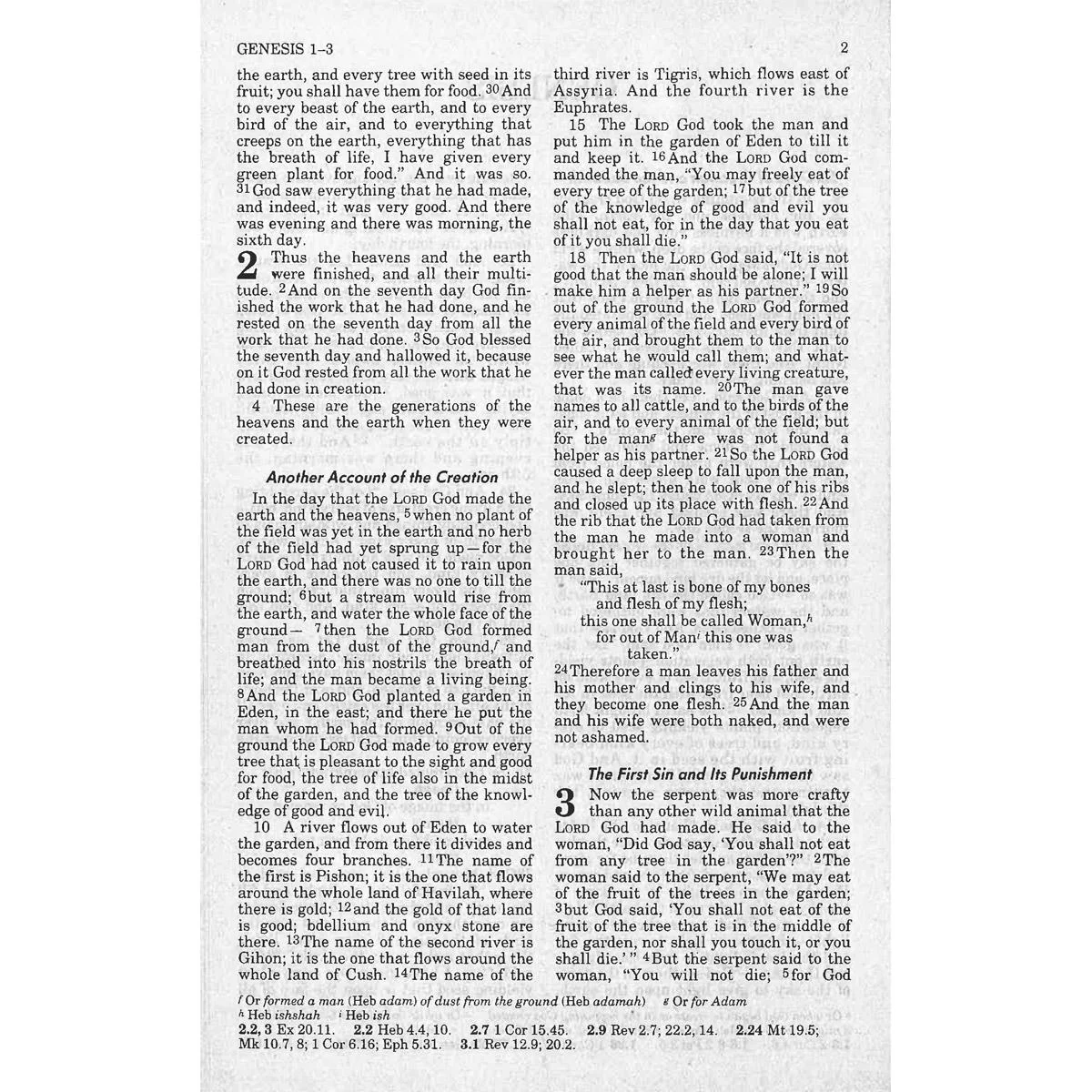 NRSV New Revised Standard Version Bible - Image 3