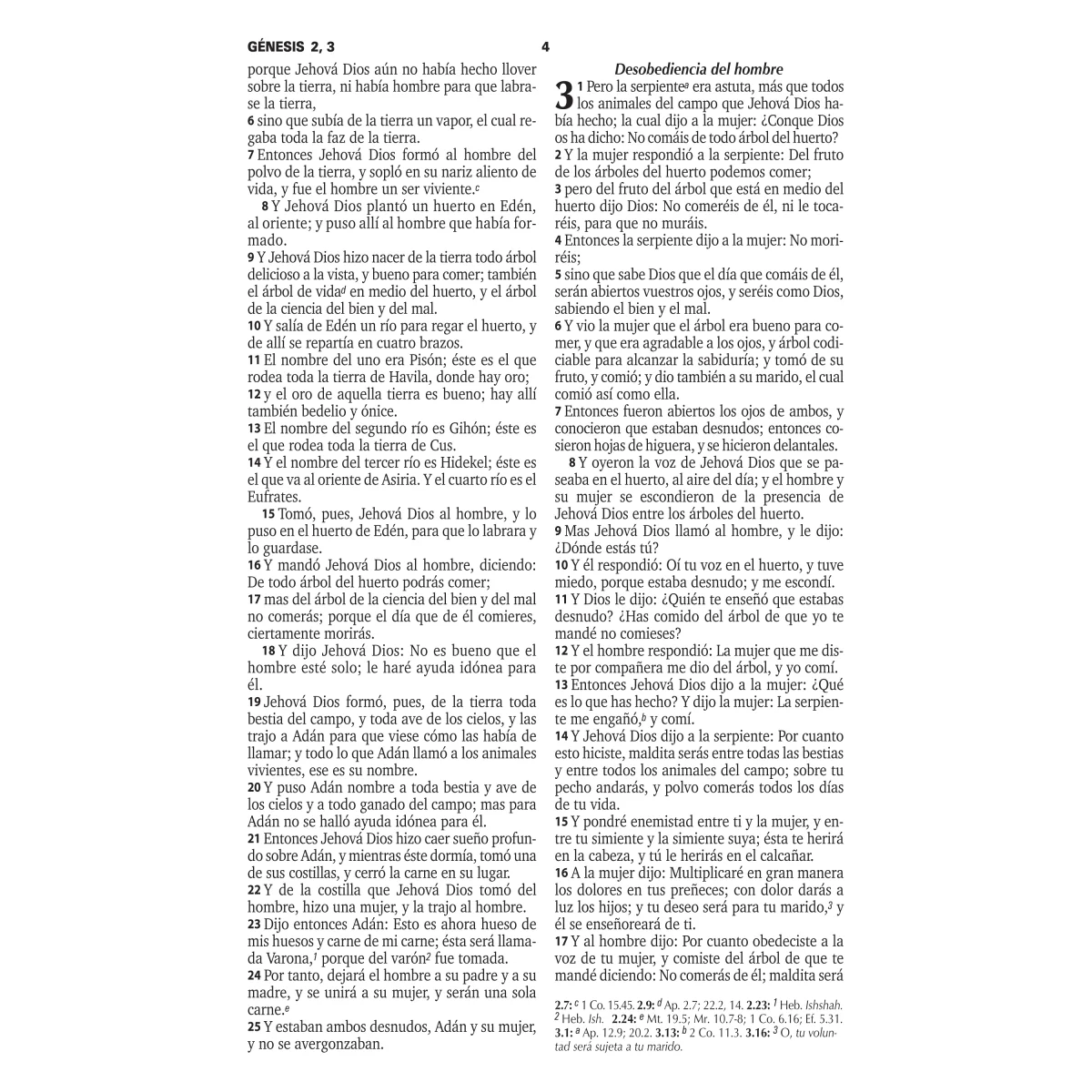 RVR60 Outreach Bible, Spanish - Image 3