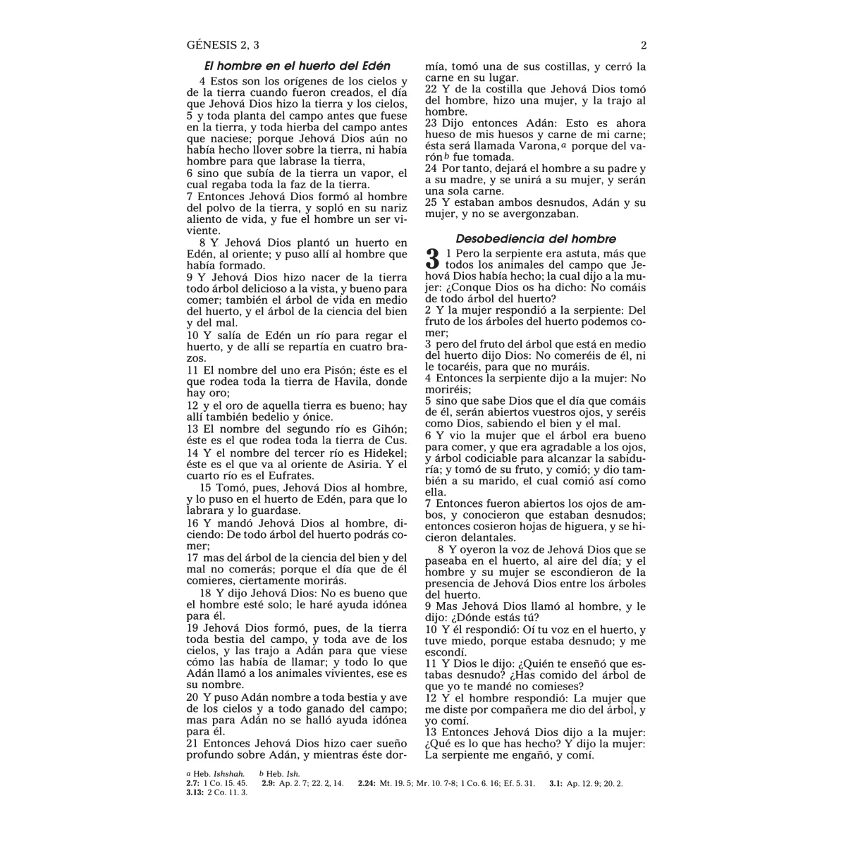 RVR60 Pew Bible, Spanish - Image 3