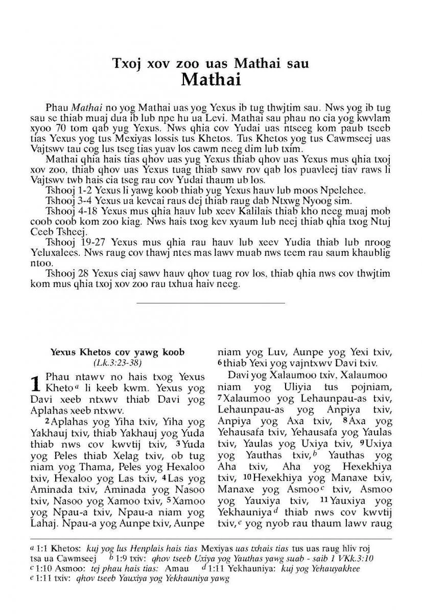 White Hmong New Testament - Print on Demand - Image 2